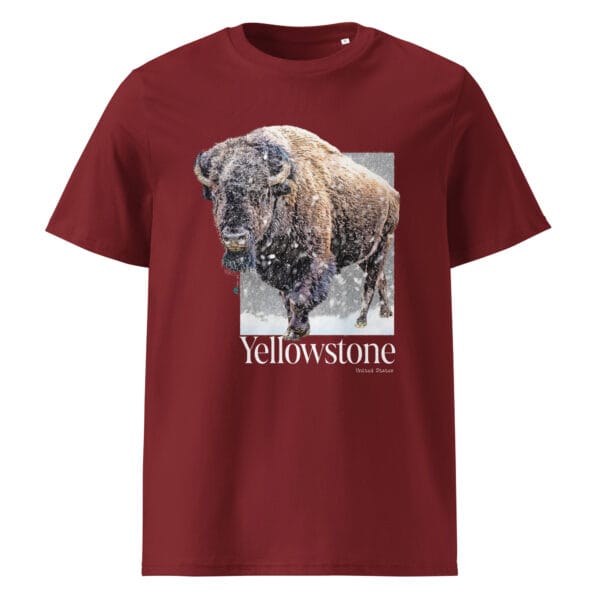 Camiseta Eco Yellowstone (United States) - Imagen 3
