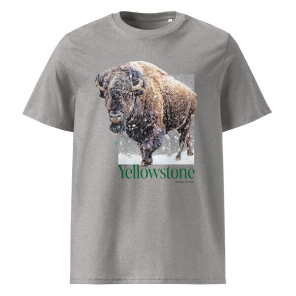 Camiseta Eco Yellowstone (United States) - Imagen 7