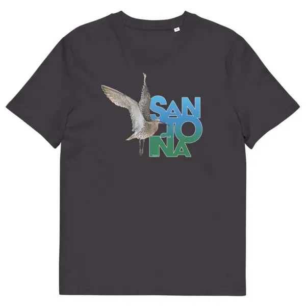 Camiseta Eco Zarapito real