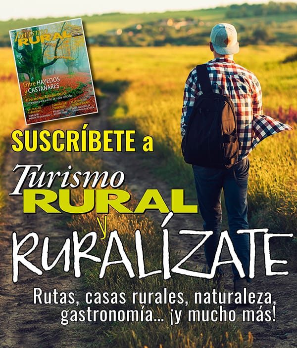 Pub_Suscripciones_-TR